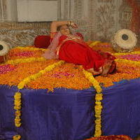 Srinivasa Padmavathi kalyanam Movie Stills | Picture 97838